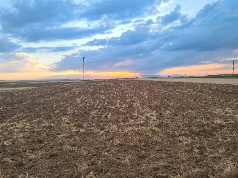 Karatlı  Hüyük  Çarıklı üçgeninde  14.5 dönüm satılık  tarla.