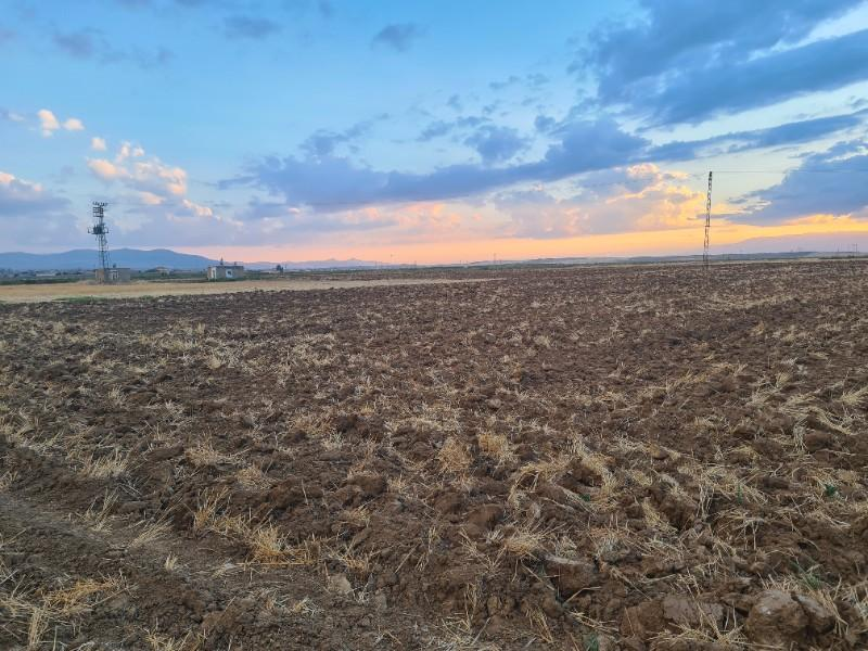 Karatlı  Hüyük  Çarıklı üçgeninde  14.5 dönüm satılık  tarla.