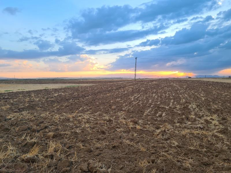 Karatlı  Hüyük  Çarıklı üçgeninde  14.5 dönüm satılık  tarla.