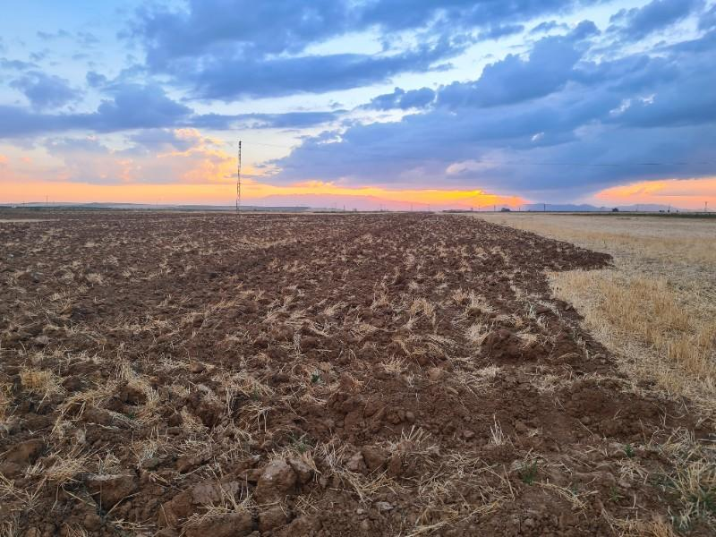 Karatlı  Hüyük  Çarıklı üçgeninde  14.5 dönüm satılık  tarla.