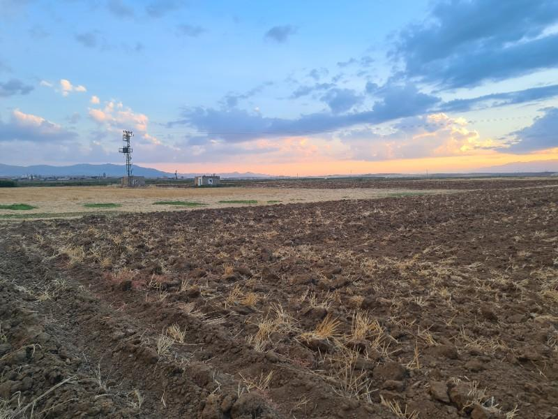 Karatlı  Hüyük  Çarıklı üçgeninde  14.5 dönüm satılık  tarla.