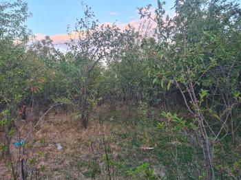 HANÇERLİDE  UYGUN FİYATA 2.200M2 SATILIK   BAHÇE 