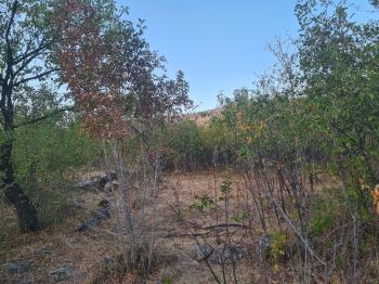 HANÇERLİDE  UYGUN FİYATA 2.200M2 SATILIK   BAHÇE 