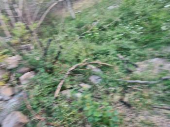 HANÇERLİDE  UYGUN FİYATA 2.200M2 SATILIK   BAHÇE 