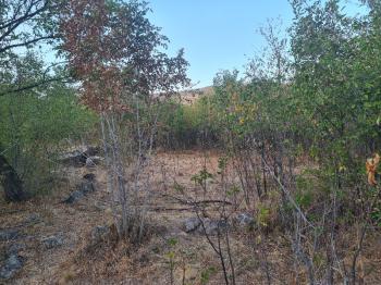 HANÇERLİDE  UYGUN FİYATA 2.200M2 SATILIK   BAHÇE 