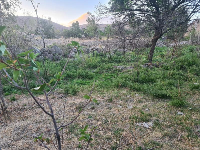 HANÇERLİDE  UYGUN FİYATA 2.200M2 SATILIK   BAHÇE 