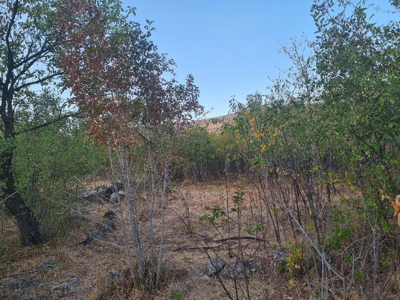 HANÇERLİDE  UYGUN FİYATA 2.200M2 SATILIK   BAHÇE 