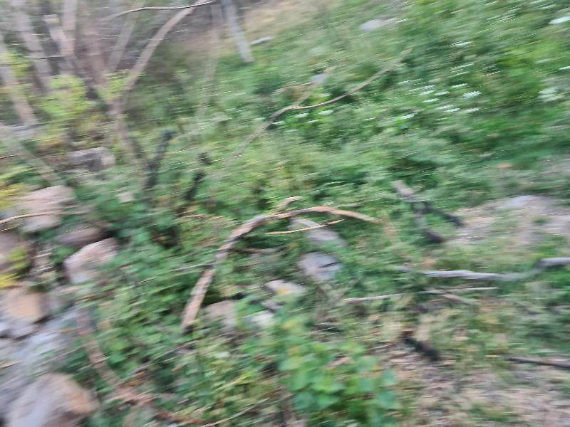 HANÇERLİDE  UYGUN FİYATA 2.200M2 SATILIK   BAHÇE 