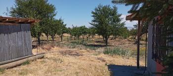 GÜVENAY - ÇORUM MERKEZ KILIÇÖREN KÖYÜNDE 4.800 M2 SATILIK TARLA