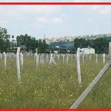 TAM DENİZ MANZARAL Silivri Gümüşyaka Villa  imarlı arsa 275m2 satılıktır.