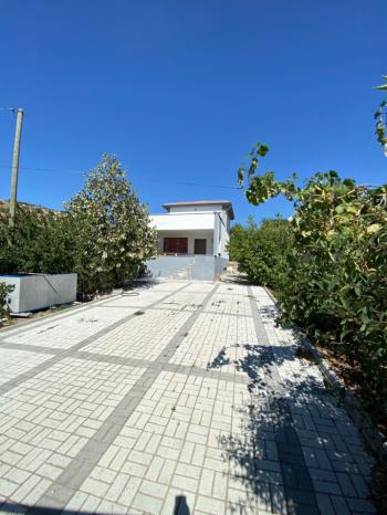 GÜVENAY - ÇORUM BAHÇELİEVLER MAH. HACIKERİM MEVKİİ SATILIK BAĞ 