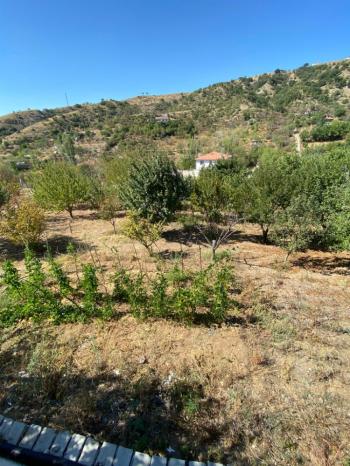 GÜVENAY - ÇORUM BAHÇELİEVLER MAH. HACIKERİM MEVKİİ SATILIK BAĞ 