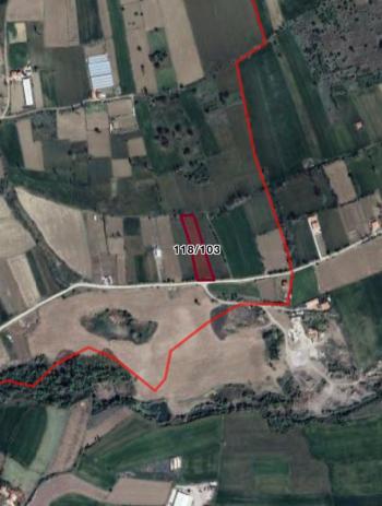 GÜVENAY - ÇORUM MERKEZ YENİCE KÖYÜ YOLU ÜZERİ SATILIK BAHÇE 