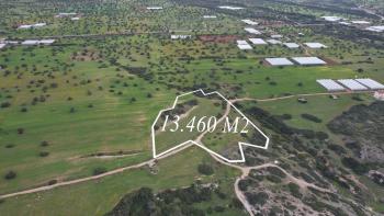 Tatlısu Bölgesinde Denize Sıfır Satılık 13.460 m2  Arazi
