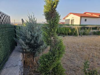 GÜVENAY - ÇORUM KALE MAH. EKİN CADDESİ  SONUNDA SATILIK HOBİ BAHÇESİ