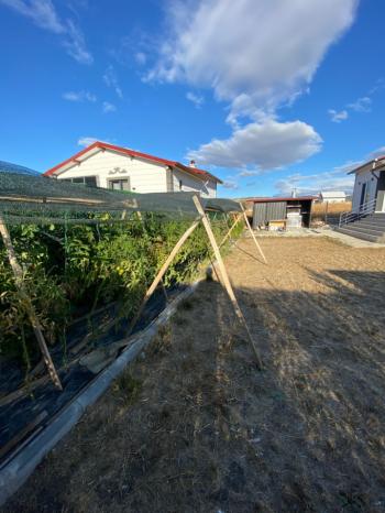 GÜVENAY - ÇORUM KALE MAH. EKİN CADDESİ  SONUNDA SATILIK HOBİ BAHÇESİ