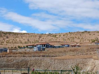 GÜVENAY - ÇORUM YENİ OSMANCIK YOLUNDA SATILIK HOBİ BAHÇESİ