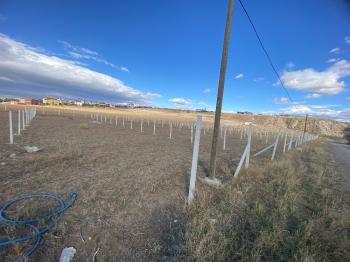 GÜVENAY - ÇORUM MERKEZ KARACA KÖY MEVKİİ SATILIK HOBİ BAHÇE