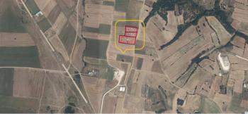 LÜLEBURGAZ CELALİYE KÖYÜ BAĞLIK YOL VAR 3 SATILIK PARSEL