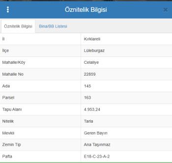 LÜLEBURGAZ CELALİYE KÖYÜ RESMİ YOL MÜSTAKİL SATILIK PARSEL