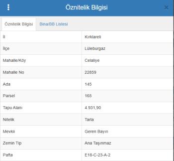 LÜLEBURGAZ CELALİYE KÖYÜ RESMİ YOL MÜSTAKİL SATILIK PARSEL