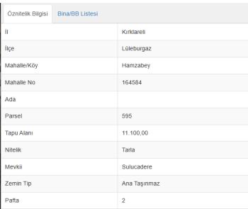 LÜLEBURGAZ HAMZABEY KÖYÜ RESMİ YOL MÜSTAKİL SATILIK PARSEL