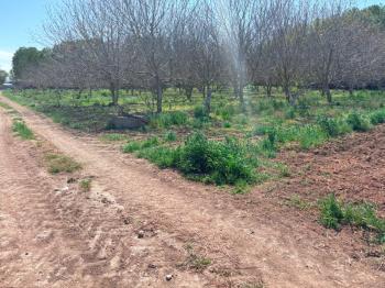 LÜLEBURGAZ ESKİTAŞLI KÖYÜ YOL VAR İMARA YAKIN SATILIK PARSEL