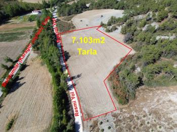 Taraklı Mahdumlar Mahallesinde 7.103m2 arazi satılık