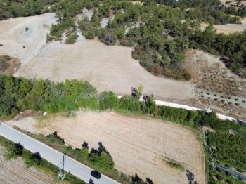 Taraklı Mahdumlar Mahallesinde 7.103m2 arazi satılık