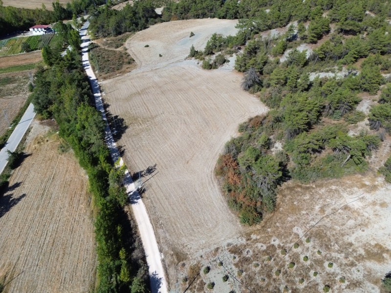 Taraklı Mahdumlar Mahallesinde 7.103m2 arazi satılık