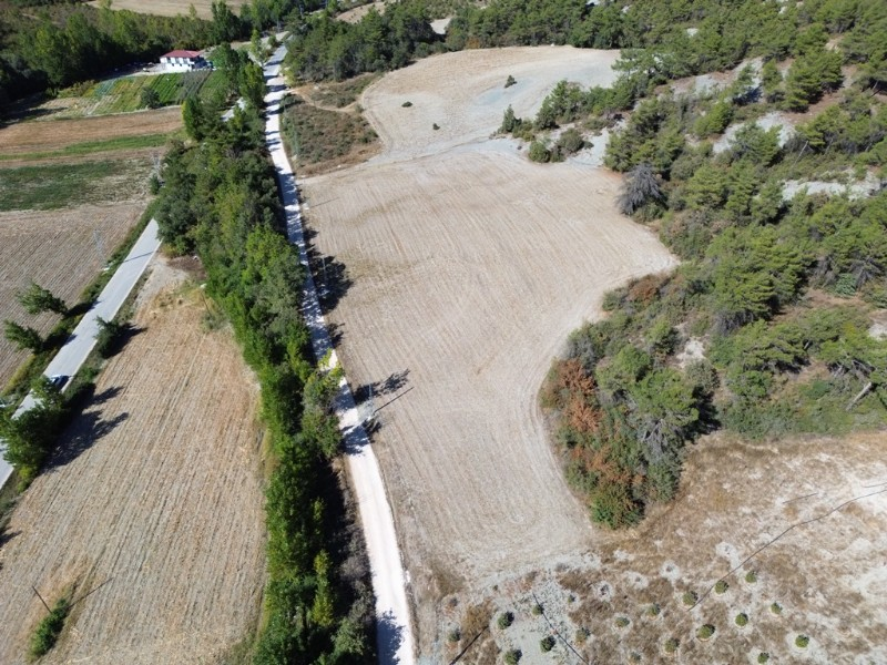 Taraklı Mahdumlar Mahallesinde 7.103m2 arazi satılık