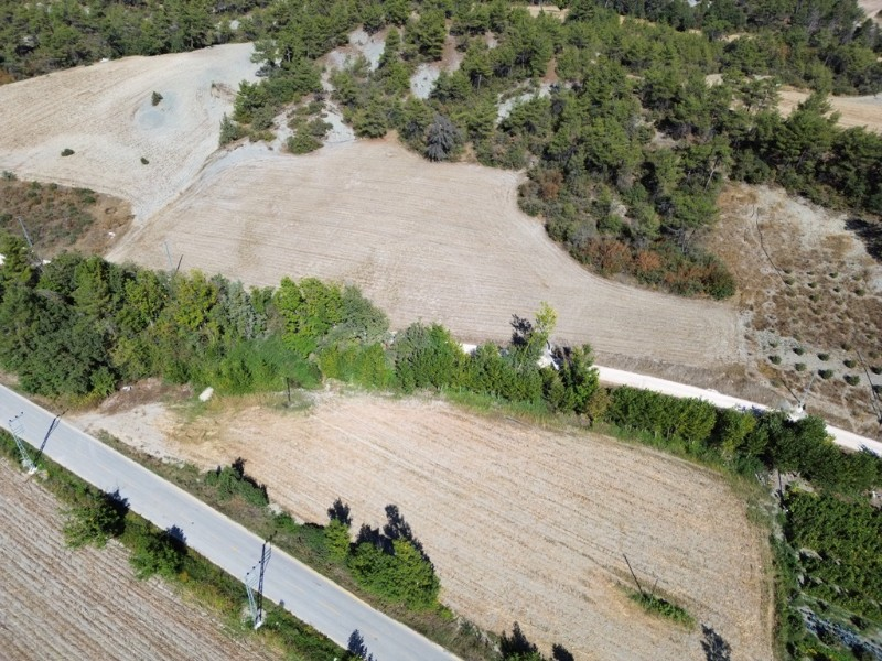 Taraklı Mahdumlar Mahallesinde 7.103m2 arazi satılık