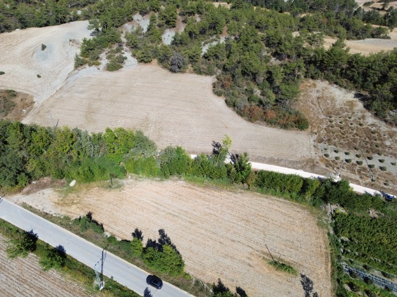 Taraklı Mahdumlar Mahallesinde 7.103m2 arazi satılık