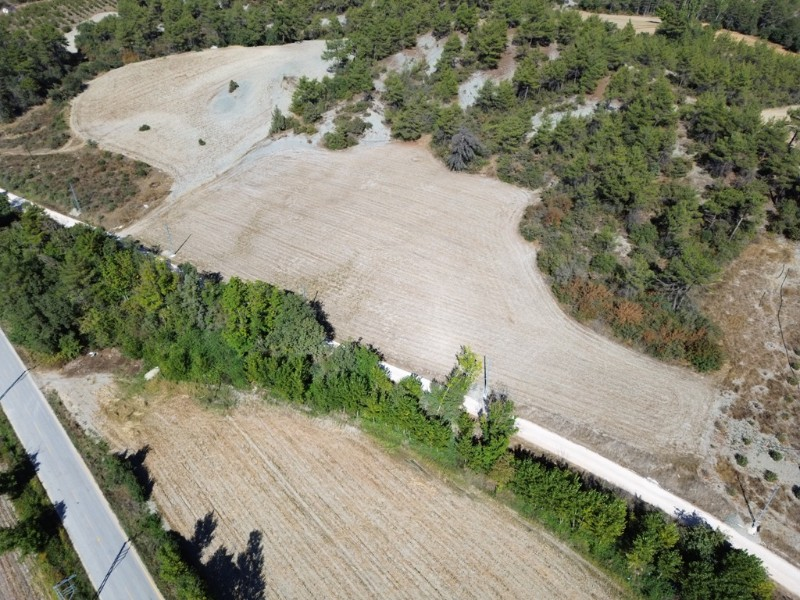 Taraklı Mahdumlar Mahallesinde 7.103m2 arazi satılık