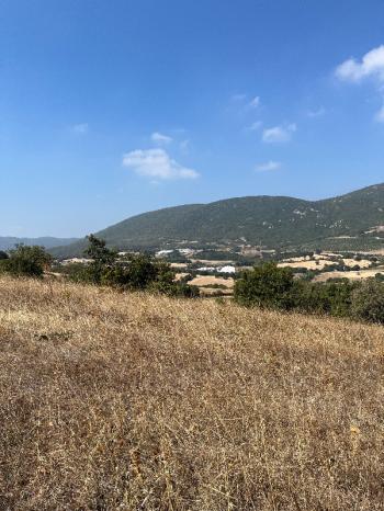 Balıkesir Gönen Atıcıoba Köyü Satılık Tarla