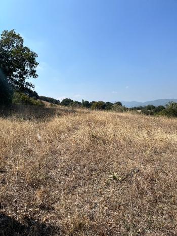 Balıkesir Gönen Atıcıoba Köyü Satılık Tarla