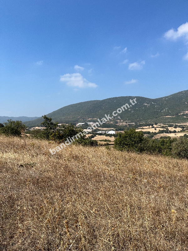 Balıkesir Gönen Atıcıoba Köyü Satılık Tarla