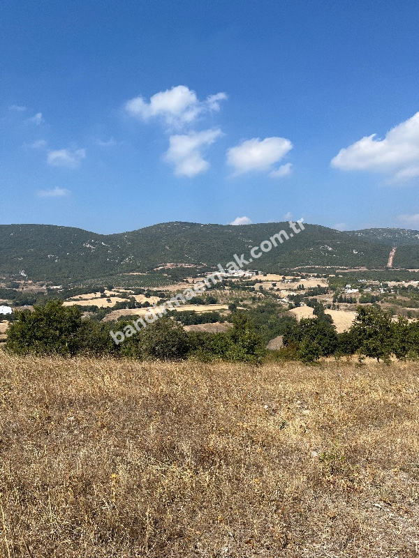 Balıkesir Gönen Atıcıoba Köyü Satılık Tarla