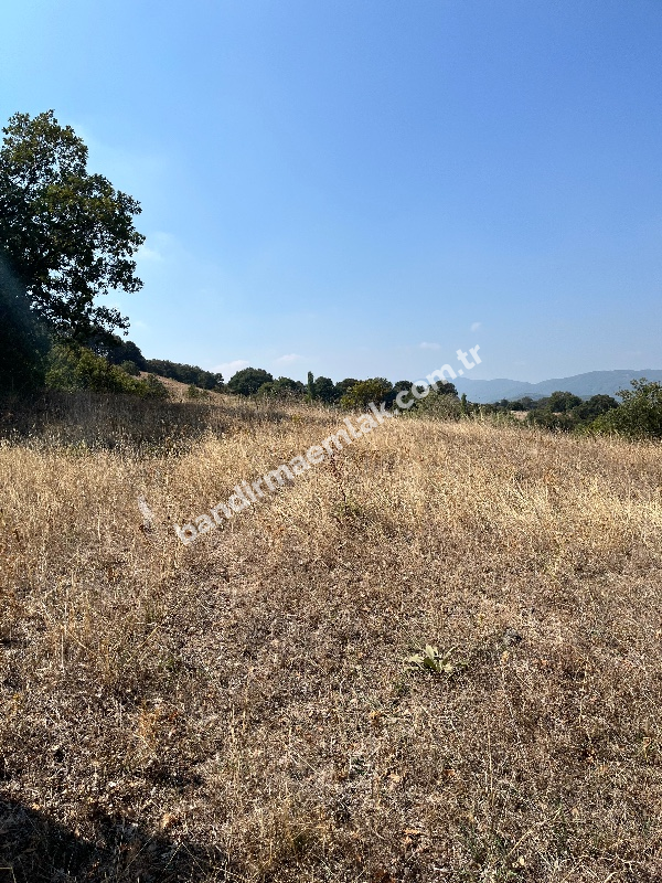 Balıkesir Gönen Atıcıoba Köyü Satılık Tarla