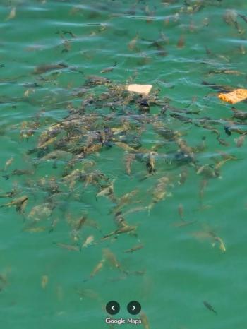 ADIYAMAN KAHTA MÜSTAKİL EV TAPU SAHİBİ PERTA EMLAK ÜMİT TAHMAZ