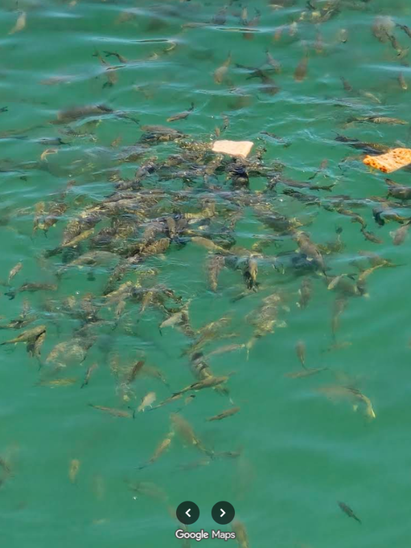 ADIYAMAN KAHTA MÜSTAKİL EV TAPU SAHİBİ PERTA EMLAK ÜMİT TAHMAZ