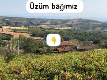 TEKİRDAĞ ŞARKÖY DENİZ VE ADA MANZARALI 5.307M2 İMARLI SATILIK