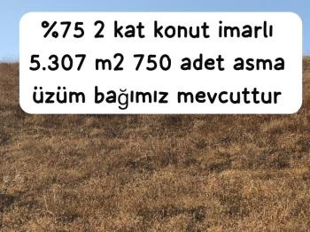 TEKİRDAĞ ŞARKÖY DENİZ VE ADA MANZARALI 5.307M2 İMARLI SATILIK