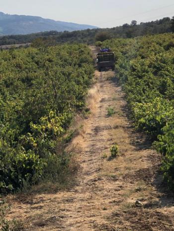 TEKİRDAĞ ŞARKÖY DENİZ VE ADA MANZARALI 5.307M2 İMARLI SATILIK