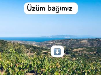 TEKİRDAĞ ŞARKÖY DENİZ VE ADA MANZARALI 5.307M2 İMARLI SATILIK