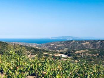 TEKİRDAĞ ŞARKÖY DENİZ VE ADA MANZARALI 5.307M2 İMARLI SATILIK