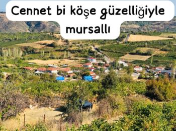 TEKİRDAĞ ŞARKÖY DENİZ VE ADA MANZARALI 5.307M2 İMARLI SATILIK