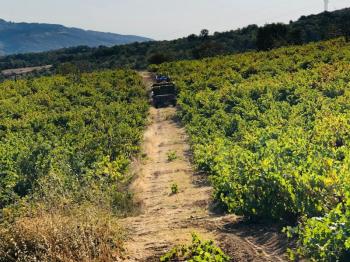 TEKİRDAĞ ŞARKÖY DENİZ VE ADA MANZARALI 5.307M2 İMARLI SATILIK