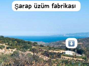 TEKİRDAĞ ŞARKÖY DENİZ VE ADA MANZARALI 5.307M2 İMARLI SATILIK