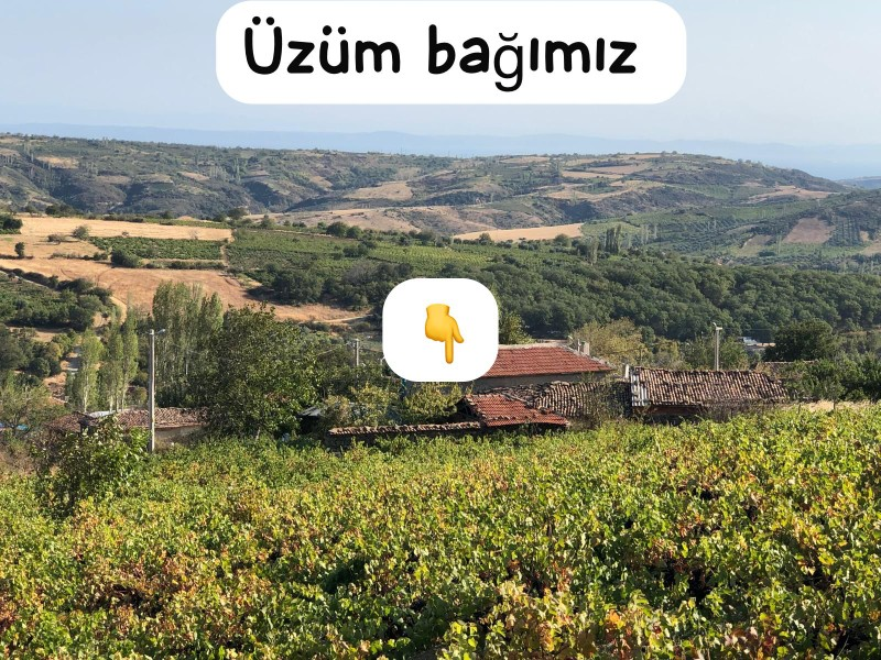 TEKİRDAĞ ŞARKÖY DENİZ VE ADA MANZARALI 5.307M2 İMARLI SATILIK